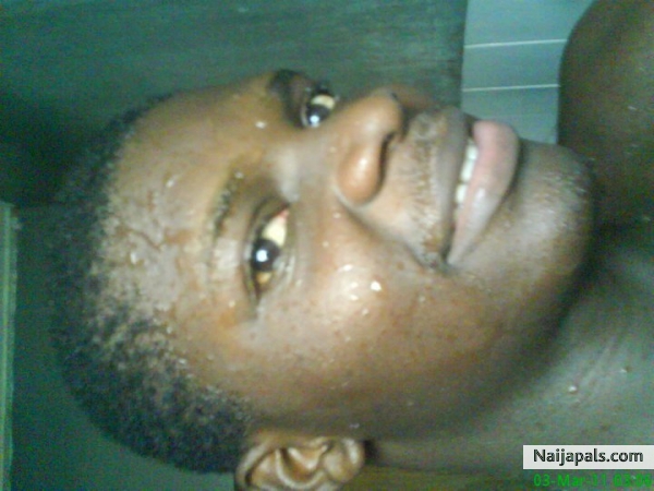 no comments........ - click for next photo