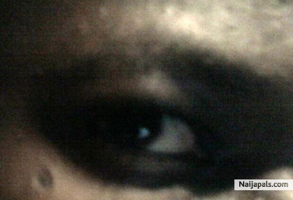 eye spy - click for next photo