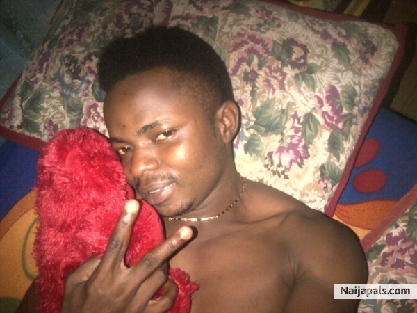  - click for next photo