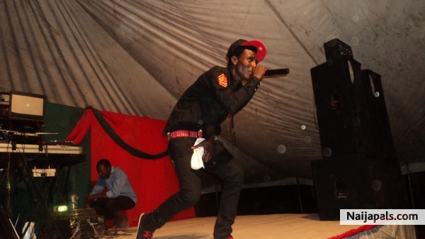 wolex@show - click for next photo
