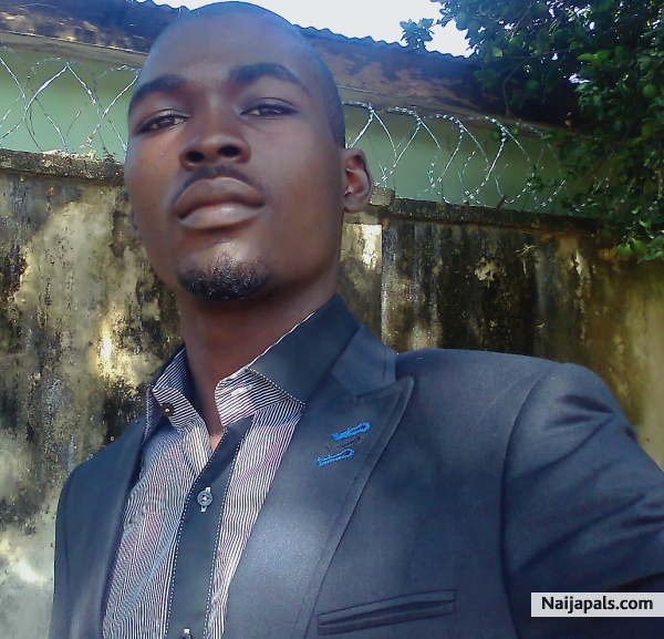 stevobaba - click for next photo