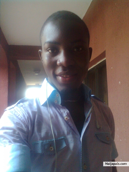 pic - click for next photo