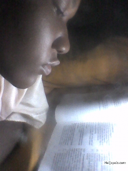 Studying hard - click for next photo