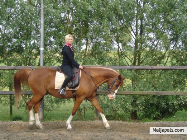 Djidim My Horse and Me - click for next photo