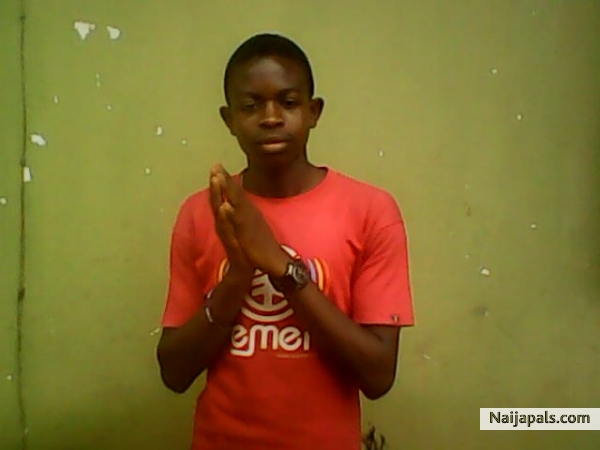 See meo - click for next photo
