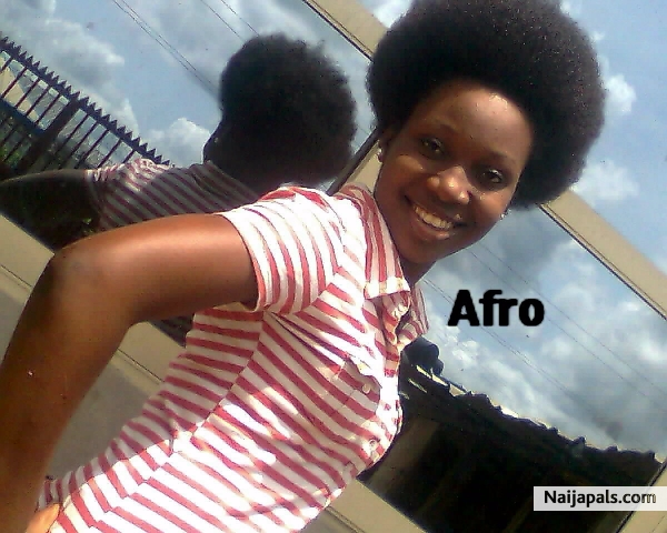 TY BELLO - click for next photo