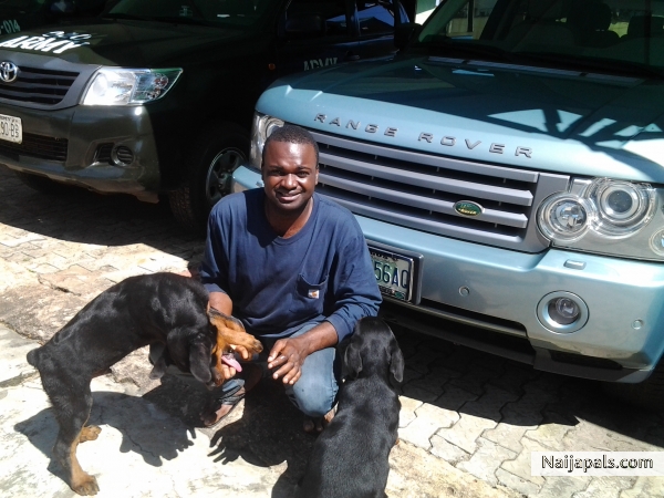 playing with my dogs - click for next photo