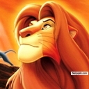 king-simba - click for next photo