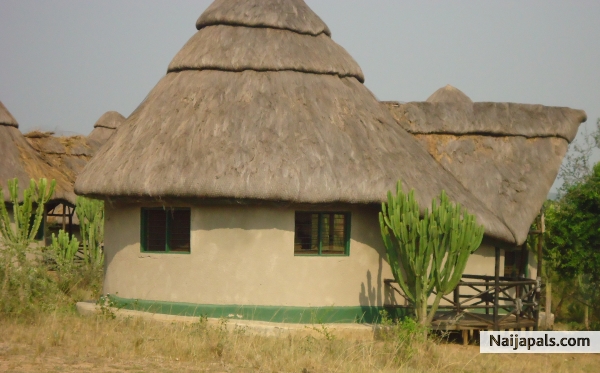 M AFRICAN GRASS HUT - click for next photo