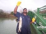GO FISH! - click for next photo