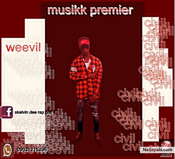 Civil N weevil