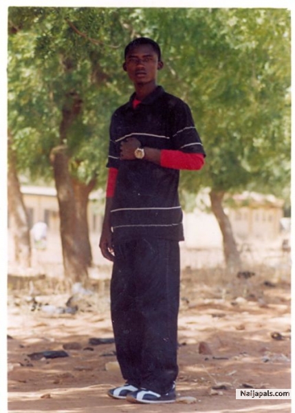  - click for next photo
