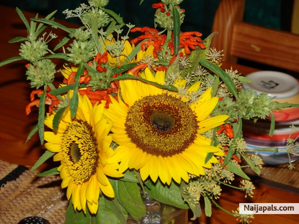 FOR YOU - click for next photo