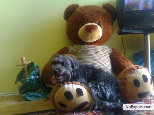 My lil furry family - click for next photo