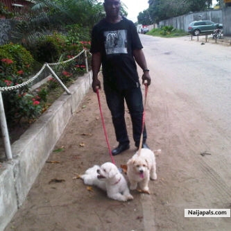 M̶̲̥̅ε̲̣̣̣̥ & my doggies - click for next photo