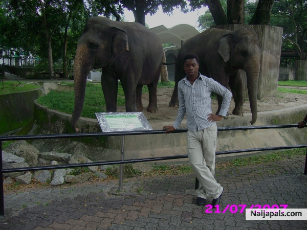 Malaysian National Zoo ( Negera) - click for next photo