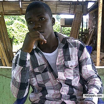 chocholate boi - click for next photo
