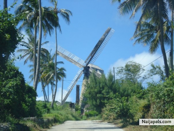old sugar mill 1900 - click for next photo