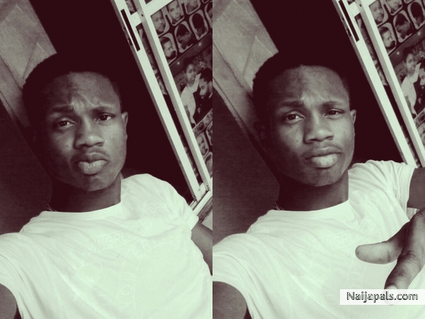 Hollaman
