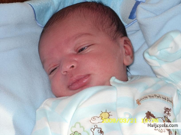  - click for next photo