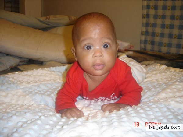 darius - click for next photo