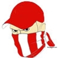 dtz concealment - click for next photo