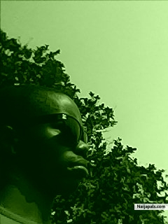 hollaski eyena - click for next photo