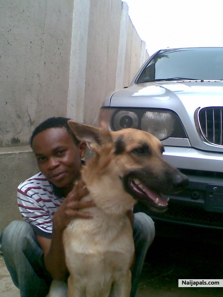  - click for next photo