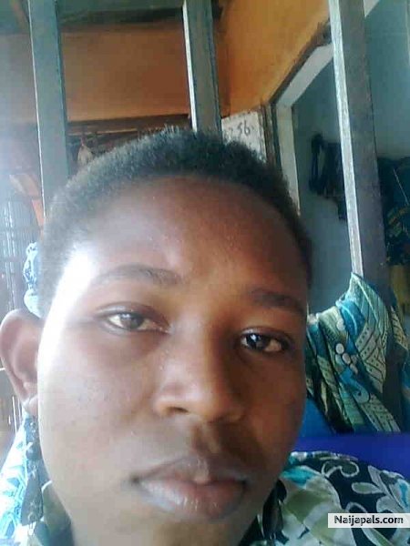 Jst mi - click for next photo