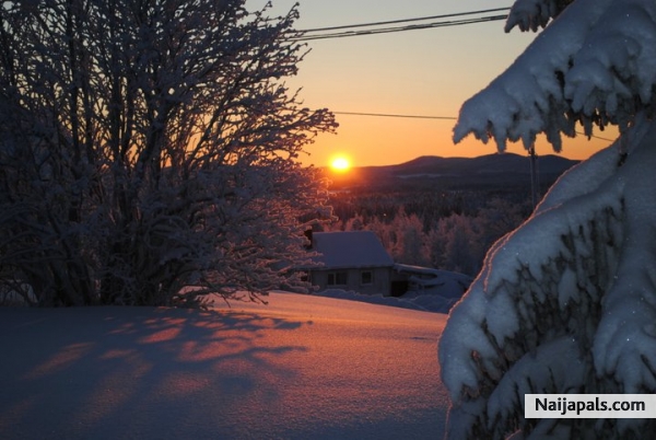 Swedish snow - click for next photo