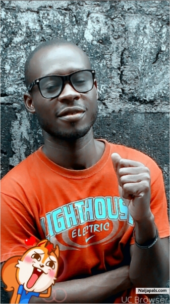 Tikee - click for next photo