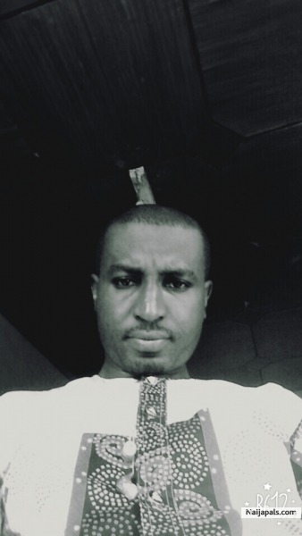 Handsome - click for next photo