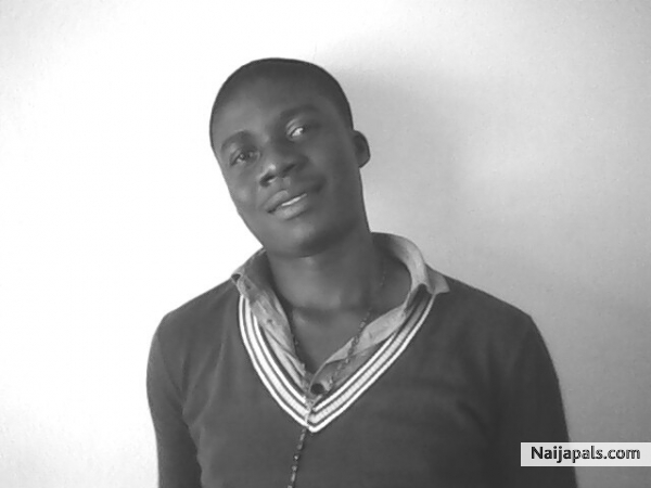 Gugo - click for next photo