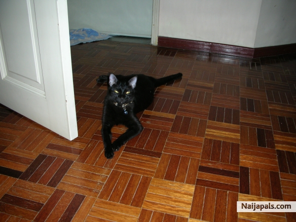  - click for next photo