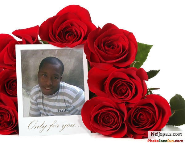  - click for next photo