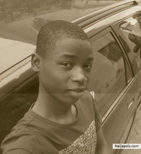 My Pix - click for next photo