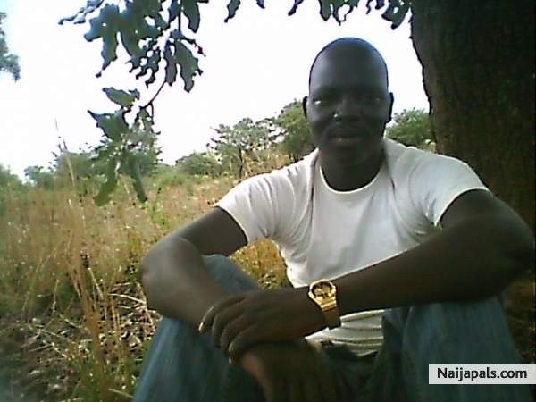 Ruru - click for next photo