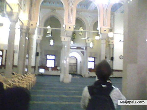  - click for next photo