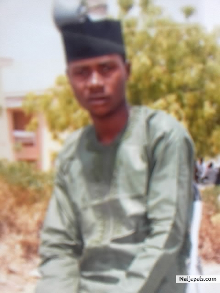  - click for next photo