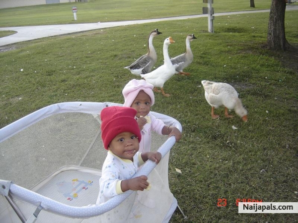 the duck pond - click for next photo