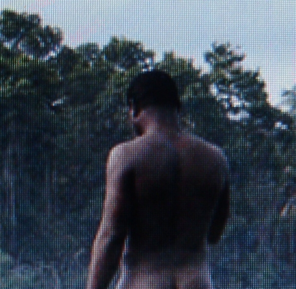 in the wild - click for next photo