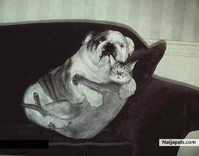 Let us explain, its not what you think..... - click for next photo