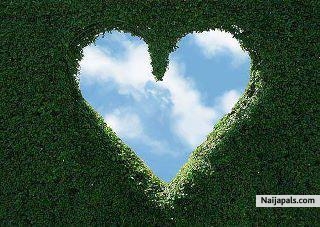 1 love - click for next photo