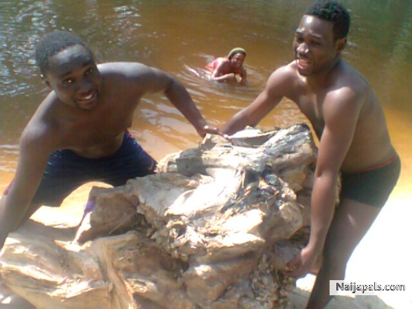 Datz d Gold of Life - click for next photo