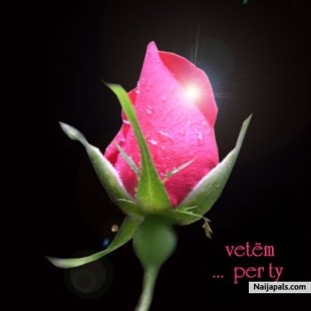 yes - click for next photo