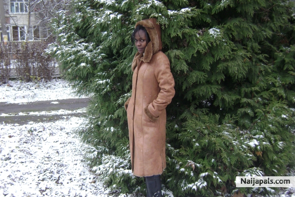 snowy - click for next photo