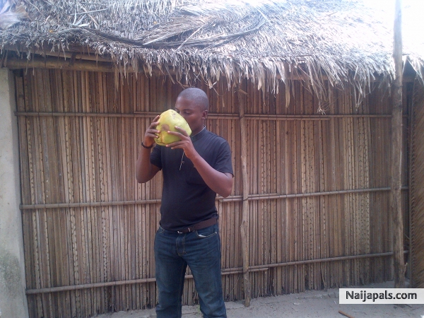 drinking coconut - click for next photo