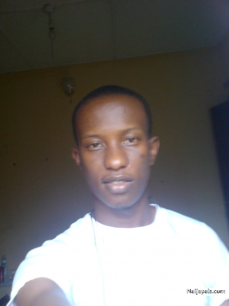 stil mi - click for next photo