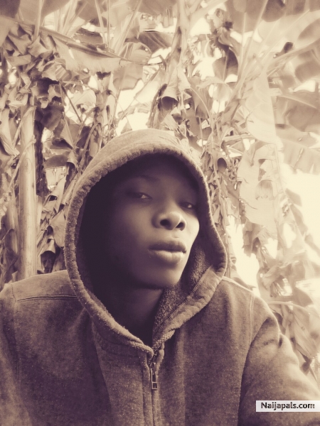 Bumbar