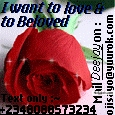 Talk about love... - click for next photo